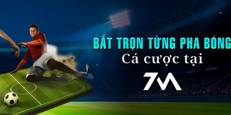 Trang cá cược bóng đá 7m