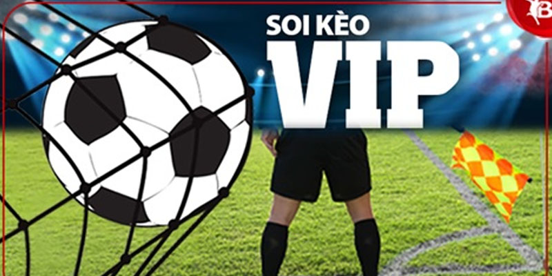 Màn hình hiển thị tỷ lệ kèo giữa trận 7M với dữ liệu được cập nhật từng giây hỗ trợ người chơi bắt kèo live.